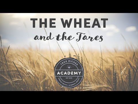 The Wheat and the Tares (Parable and Explanation)