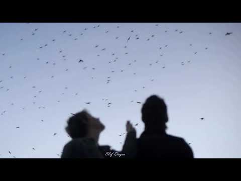 Burcu Yıldız - Oy u Hayu Pry Dunayu (Türkçe Çeviri)