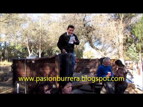 Remate Haras Don Taco/Haras Preto (17-08-13)