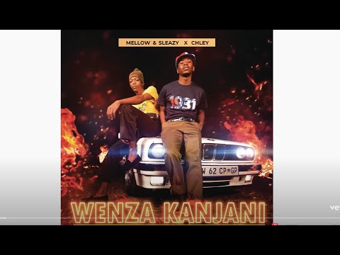 Mellow & Sleazy, Chley - Wenza Kanjani (Official Audio)
