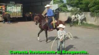 preview picture of video 'Nelson Taleno Rancho san Cristobal .Camoapa Nicaragua'