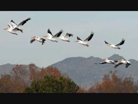 download lagu mp3 mp4 Gin Wigmore Dying Day Lyrics, download lagu Gin Wigmore Dying Day Lyrics gratis, unduh video klip Gin Wigmore Dying Day Lyrics