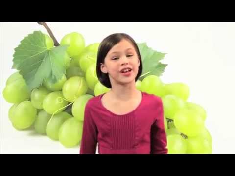 ASL Songs for Kids | Compilation Signing Songs | Educational Sign Language | Fireese