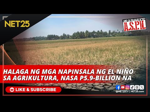 Halaga ng mga napinsala ng El Niño sa agrikultura, nasa P5.9-B na ASPN