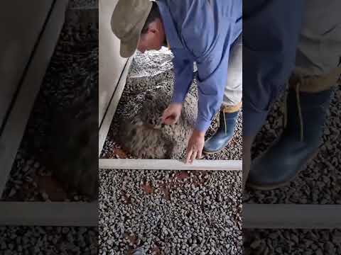 IDEIA DE MILHÕES / Como fazer um CONTRAPISO usando uma MESTRA DE MADEIRA / Método rápido e prático