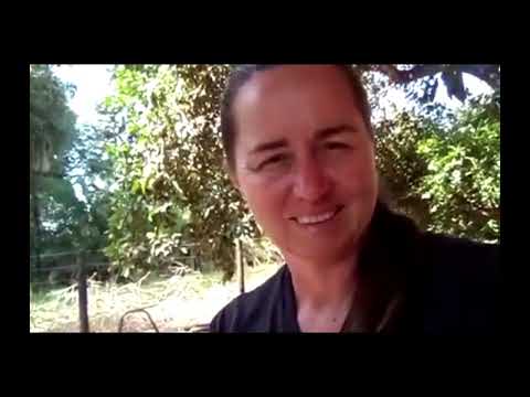 Confie no Senhor Jesus -