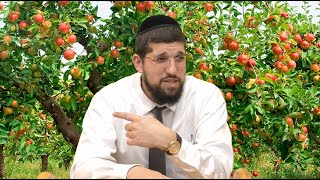 " ט"ו בשבט והמסר לחיינו " - קצר ולעניין עם הרב אליהו עמר (הרב אליהו עמר) - התמונה מוצגת ישירות מתוך אתר האינטרנט יוטיוב. זכויות היוצרים בתמונה שייכות ליוצרה. קישור קרדיט למקור התוכן נמצא בתוך דף הסרטון