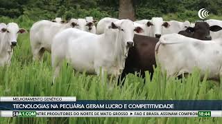Miniatura do vídeo