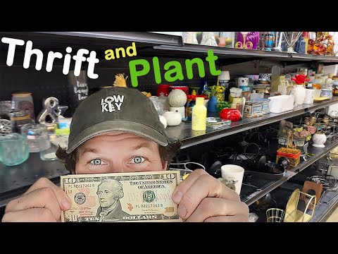$10 THRIFT STORE PLANTER CHALLENGE