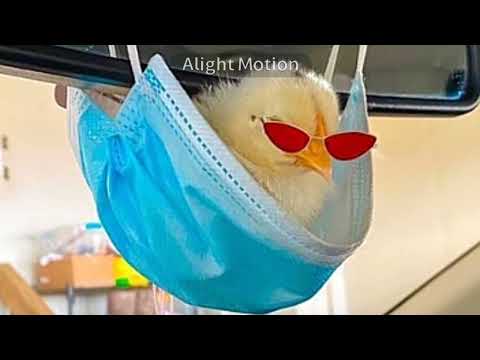 každej den mám vánoce - Stay12 / speed up