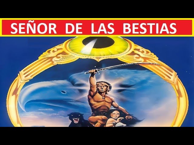 Vídeo relacionado con the Fan Tee Sudadera Adulto Sin Capucha de Hombre Peliculas Mogwai La Criatura más Adorable del Cine Retro 015 XL