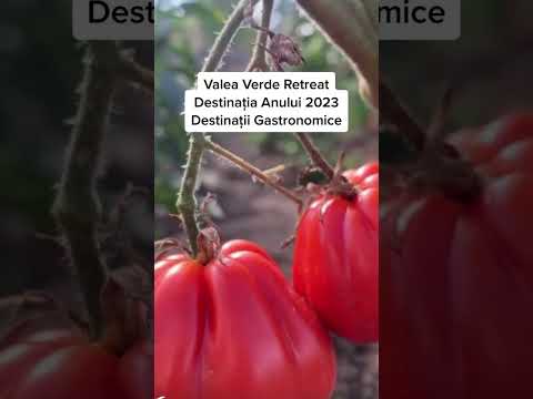 Valea Verde Retreat - Destinatia Anului 2023, Destinații Gastronomice🤩❤️🇷🇴 #romania #transilvania