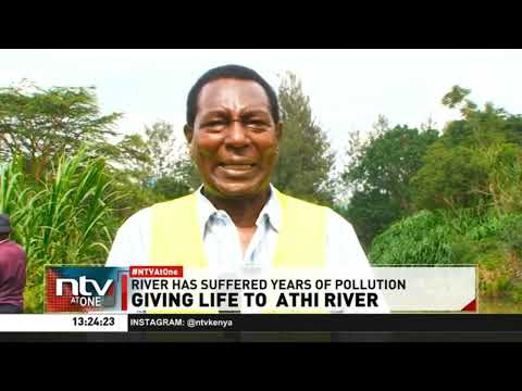 Residents of athi River embrace bamboo planting as a solution to restore River Athi