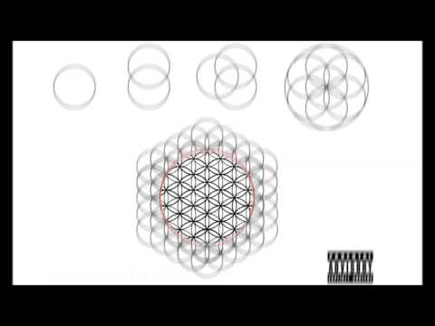 5 Cocaine 80s - Fly Ass Pisces (The Flower Of Life) (HD)