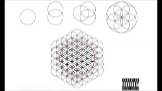 5 Cocaine 80s - Fly Ass Pisces (The Flower Of Life) (HD)