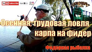 Любительская ловля карпа на фидер в октябре