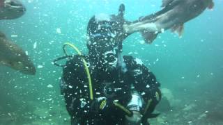 preview picture of video 'Dive 10 in Capernwray Diving center awesome. :D'