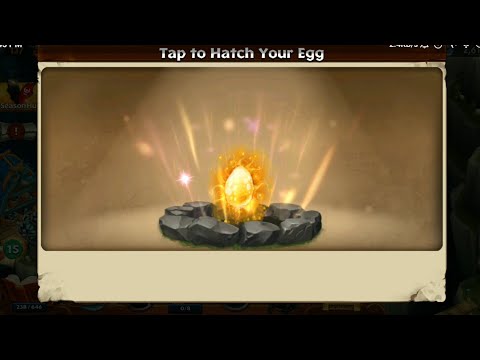 New Dragon "SUMMERSHINE"🐲🐉 Seasonal Market shopping 😎❄️😍