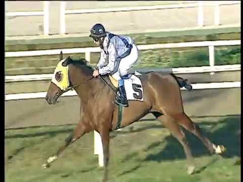 Galoppo 17/12/2017 - 2ª corsa