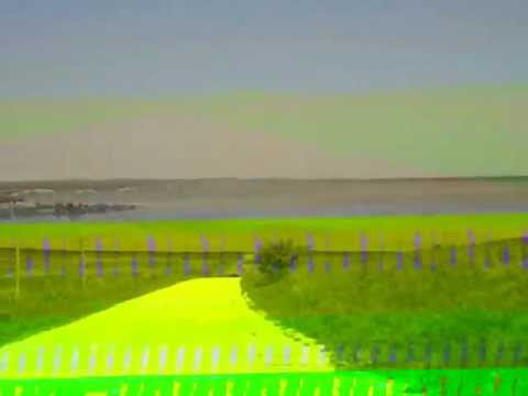 spre balta oltina cu ateveu