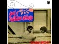 Caetano Veloso e Gal Costa - Domingo (full album)