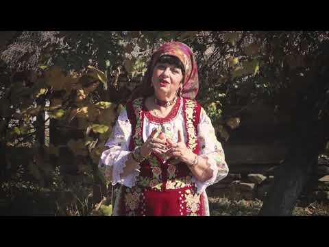 Ibi Cotta - Unde s eu lumea petrece