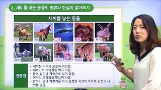 [백점맞는과학]13. 3학년 과학 동물의 한살이 새끼를 낳는 동물의 한살이를 알아볼까요