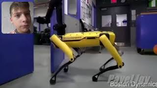 Самое смешное видео в мире. Тест на психику
