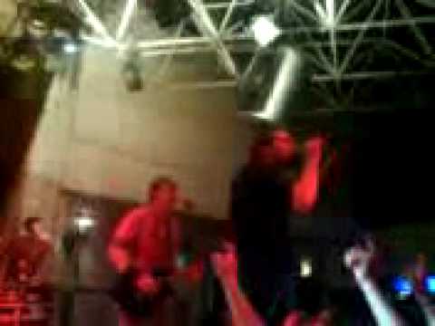 Massendefekt   Plattenpapst 25 04 09 Zakk Düsseldorf