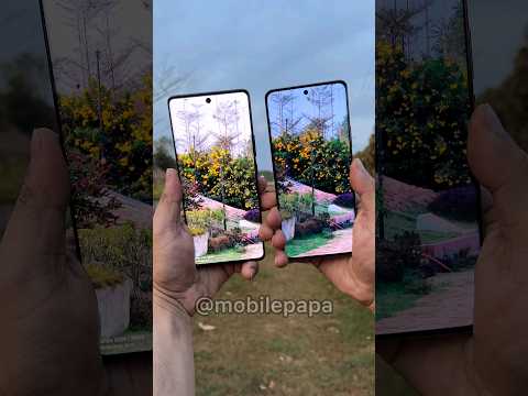 Realme 12 pro plus Vs Vivo X100 Camera Test 🤜📸🤛 #shorts #realme12proplus #vivox100 #comparison