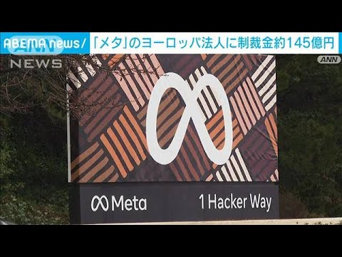 ヒンジタートルが 50,000 ユーロを獲得