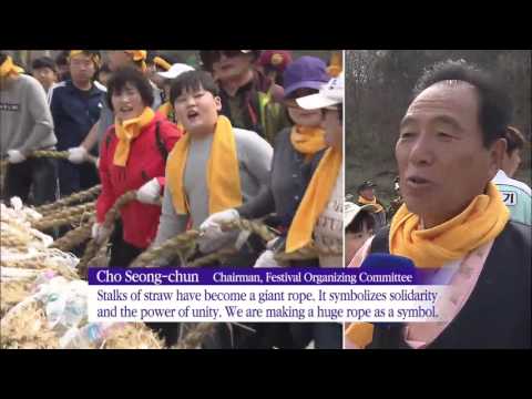 Korea’s Tug-of-War