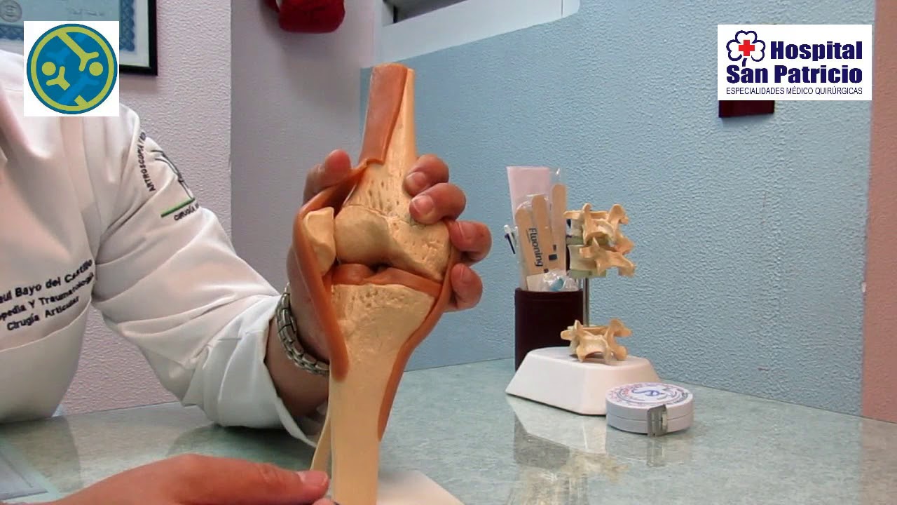 Raul Bayo Del Castillo-18