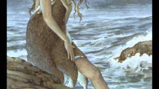 The Maiden and the Selkie