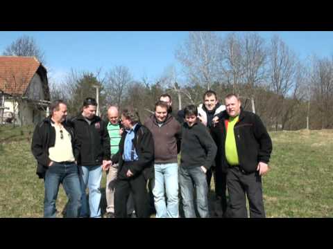 HARMONIKARSKI ORKESTER BARBARA VELENJE