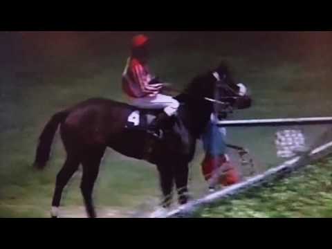 Afternoon  Delight wins with Noel Sammy in 1991