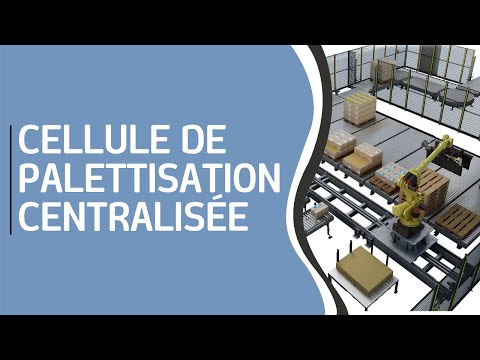 Robot palettiseur carton - sur rail - MAXIPAL® pour lignes de production centralisées_2