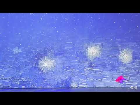 Imagine Van Gogh Immersive Exhibition Vancouver