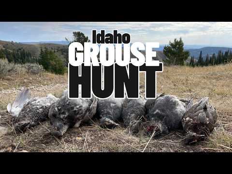 IDAHO Grouse Hunting! BLUES!