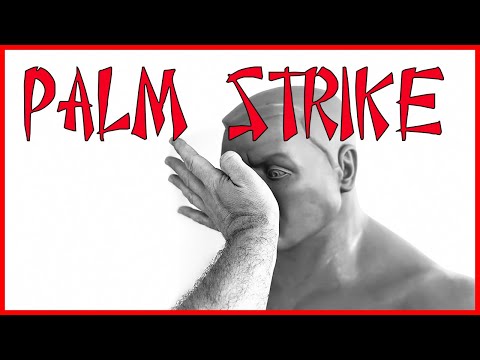 How to Palm Strike - Palm Striking - Wing Chun Kung Fu Lesson