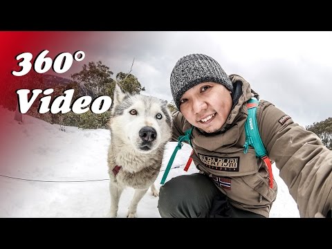 SUPERTRAVELME - 360 Video: Sled Dog Mount Buller