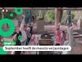 Hiep Hiep Hoera! Vandaag zijn de meeste mensen jarig