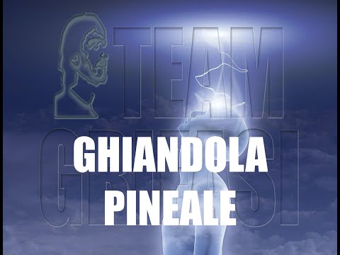 697-IT Ros., 64° Ciclo investigativo 1° Prot.:GHIANDOLA PINEALE - Ipnosi Casimiro Alaimo CG Academy