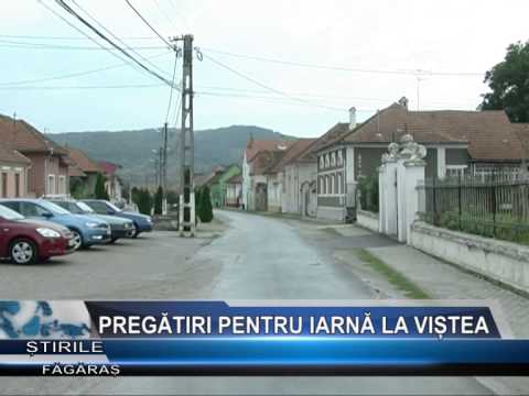 Pregatiri pentru iarna la Vistea