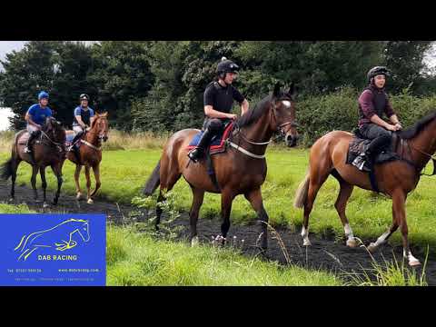 DAB RACING at the Gallops, Cropredy Lawn