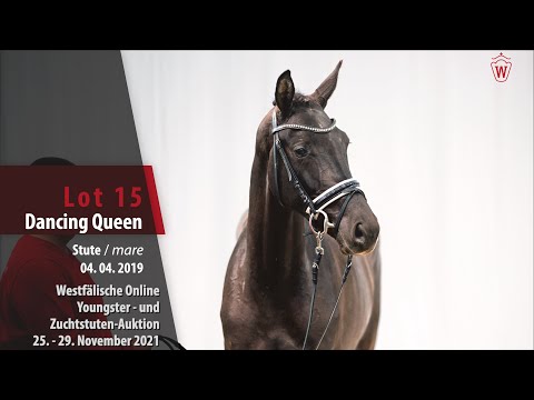 Youngster- und Zuchtstuten-Auktion Lot 15 Dancing Queen Stute v. Don Martillo - Scuderia