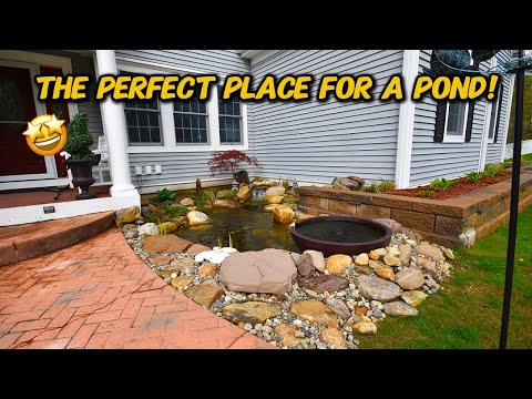WHY THIS POND IS SPECIAL THAN ALL OTHER PONDS