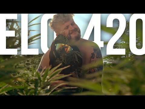 Mops x Pete - ELO420