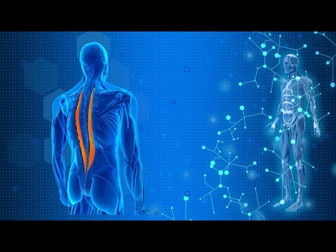 Complete Elimination Of Pain In The Body With Alpha Waves 🍤 Emotional Healing And Fast Physical