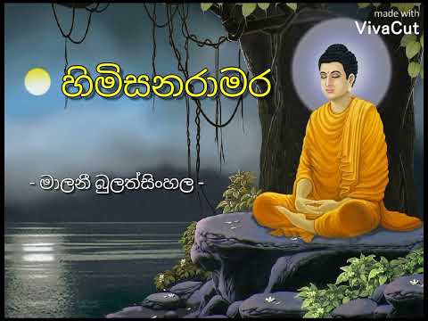 හිමි සනරාමර | මාලනී බුලත්සිංහල | Himi sanaramara | Malani Bulathsinhala
